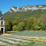 How To Safely Ship High-Value Art Across International Borders